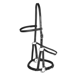 Linda Tellington-Jones Lindell