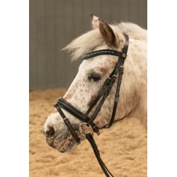 Hoofdstel STOUT! Lime