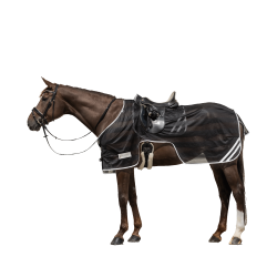 REFLEX Exercise Sheet