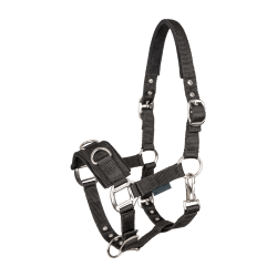 Economic lunging halter