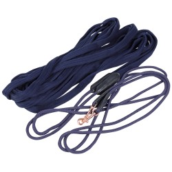 Dubbele longeerlijn Rosegold