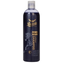 Rapide shampoo voor zwarte paarden
