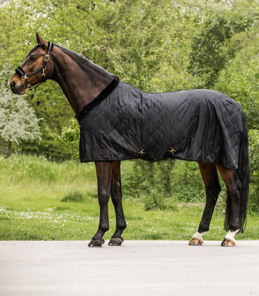 Exclusieve uitrijdeken