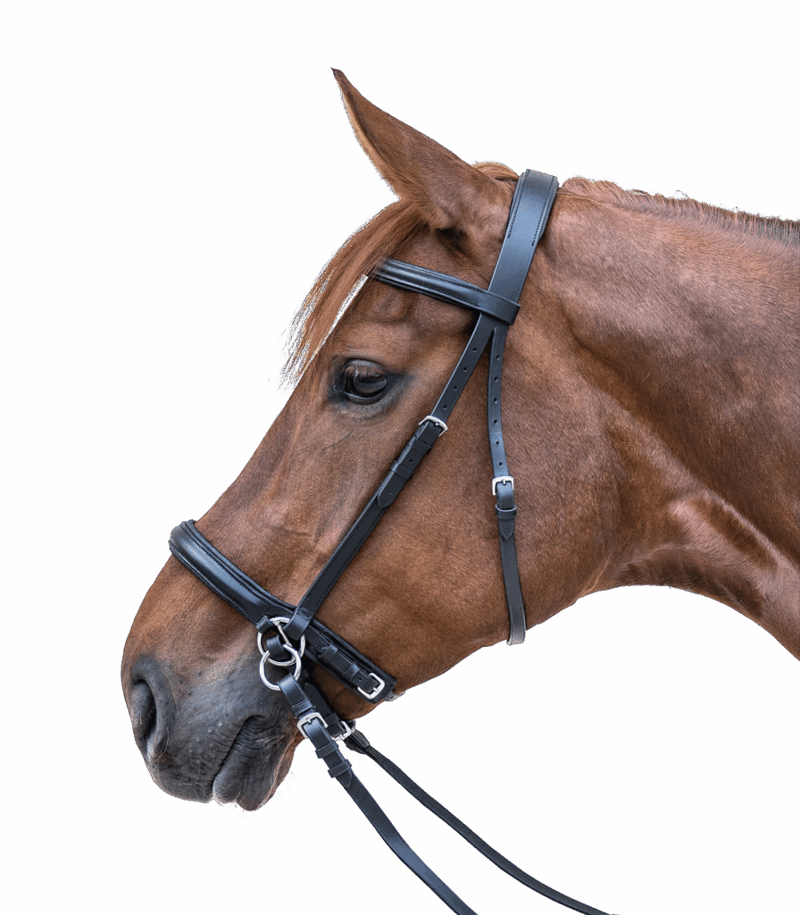 Bitloos hoofdstel star